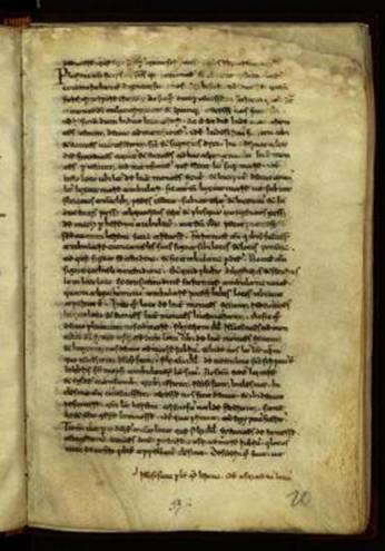 pagina codex aretinus 405