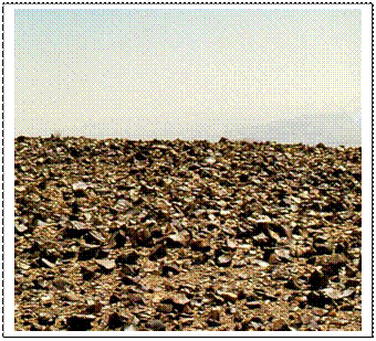 Casella di testo:  