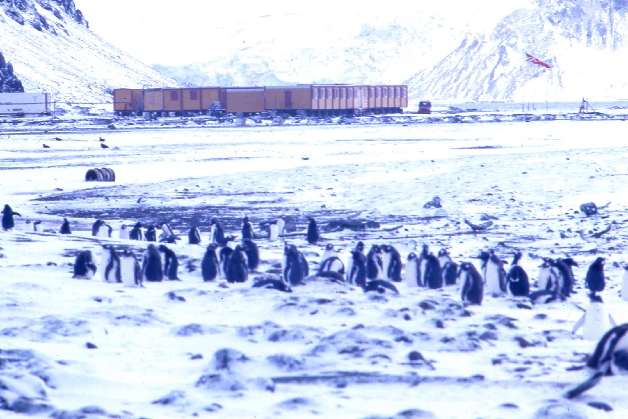 base polacca sullo sfondo di una pinguinera