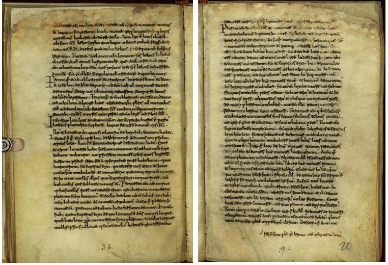 pagine del manoscritto aretino