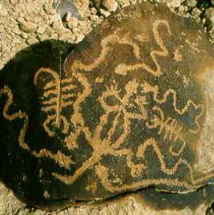 scorpioni e serpenti - incisione rupestre Har Karkom
